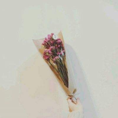 数码兽之王破解版下载